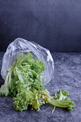 Spoiled salad is in a plastic bag on a dark background. Concept. Polluting to store vegetables in these packets. Copy space.