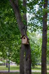 wooden bird house