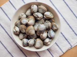 신선한 바다 자영식품 조개
