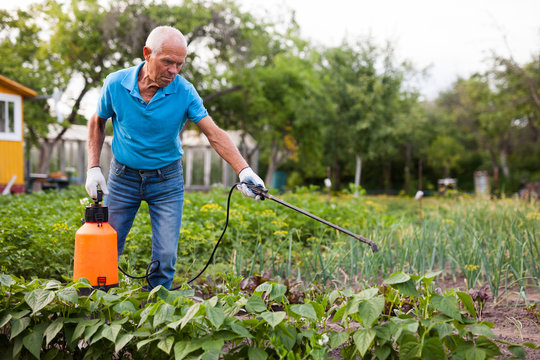 Man works with garden spray in the yard. High quality photo