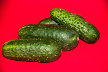 cucumber and tomato