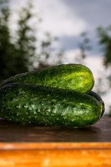 cucumber on the table