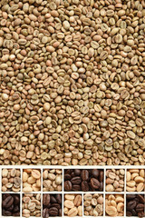  Close up of coffee beans for background                                