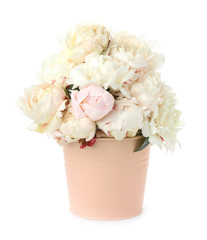 Beautiful peonies in bucket isolated on white