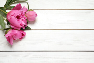 Beautiful pink peonies on white wooden background, flat lay. Space for text