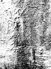 Abstract, grunge, grainy, stone, concrete texture, transparent background, Use for overlay, texture, montage or brushes. Abstract vector illustration, eps 10. Easy to recolor.