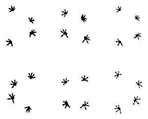 Black footprints of lizard on a white background