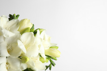 Beautiful freesia flowers on white background, closeup