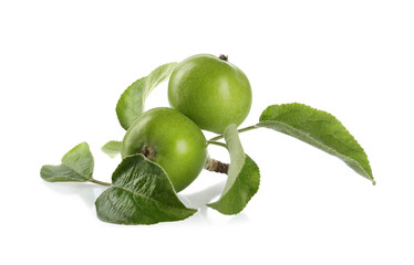 Fresh juicy apples with leaves isolated on white