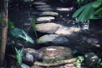 waterfall in the forest