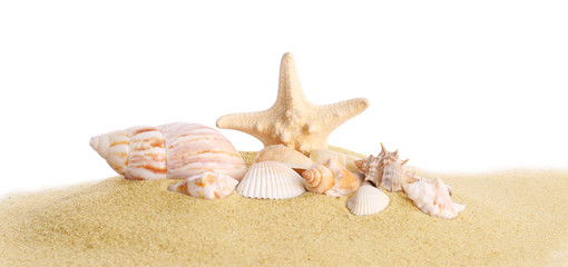 Fototapeta na wymiar Beautiful exotic sea shells, starfish and sand on white background