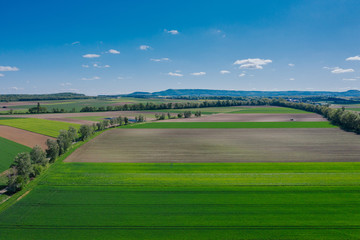 Grüne Landschaft