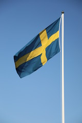 swedish Flag