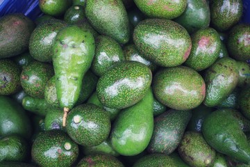 fresh cucumbers in market