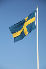 swedish Flag