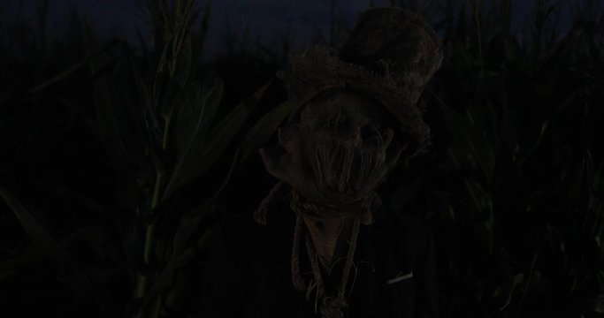 Man in image of revived dead stands lit by multicolored light in cornfield at night.