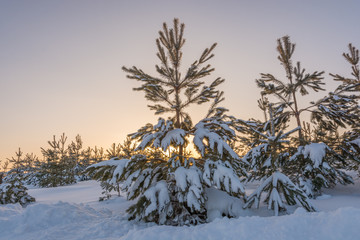Fototapeta na wymiar Landscape images of winter nature in the area of the Volzhsky Utes sanatorium
