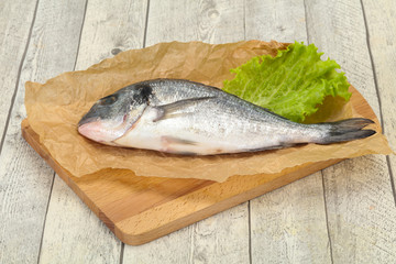 Raw Dorada fish  for cooking