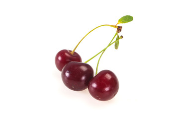 Sweet ripe cherry with leaves