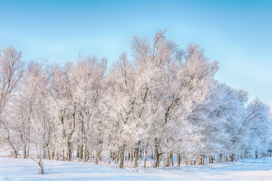 Landscape images of winter nature in the area of the Volzhsky Utes sanatorium