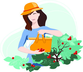 Obraz na płótnie Canvas Woman in a hat picking red berries in a bag on her backyard. Outdoor gardening hobby or profession. Exterior in modern city private house. Cozy and calming leisure activity.