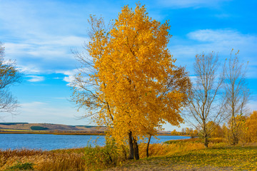 Fototapeta premium Landscape images of autumn nature near the village of Shigony