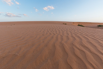 Naklejka na ściany i meble Dusk landscape of the desert