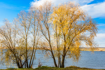 Obraz premium Landscape images of autumn nature near the village of Shigony