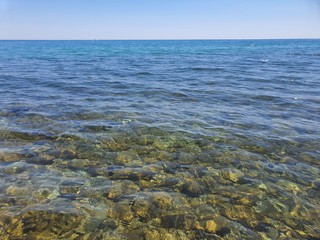 Mare