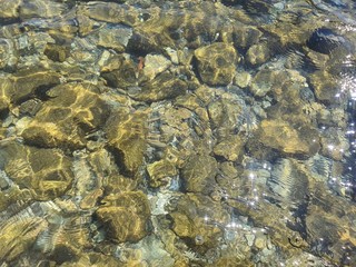Mare