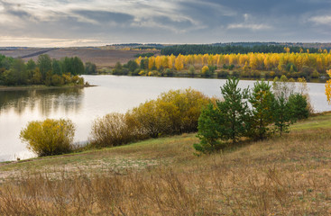 Landscape images of an autumn forest