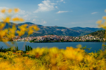 Fototapeta premium View of the town of Kastoria (Greece) nested between the mountains and the lake, blooming yellow flowers in the foreground