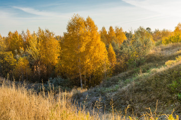 Fototapeta premium Landscape images of late autumn in Syzran district of Samara region