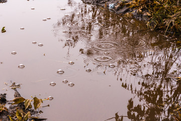 landscape images in Syzran city Park in rainy weather