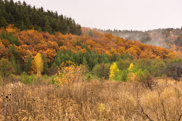 Landscape images of late autumn in Syzran district of Samara region