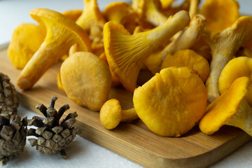 mushrooms on a wooden board
