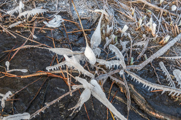 Ice growths due to a strong night frost on the banks of the Usa river