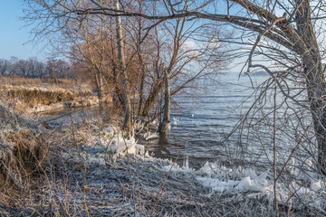 Fototapeta na wymiar Ice growths due to a strong night frost on the banks of the Usa river