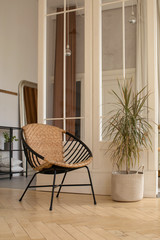 Comfortable chair and potted plant placed near partition in cozy elegant room at home