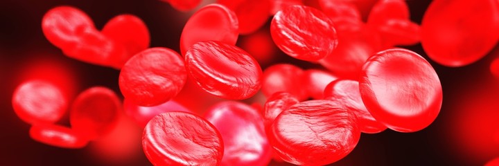 Red blood cells, red blood corpuscles, haematids, erythroid cells or erythrocytes