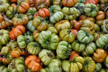 fresh vegetables on the market