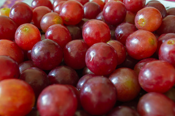 red grapes close up