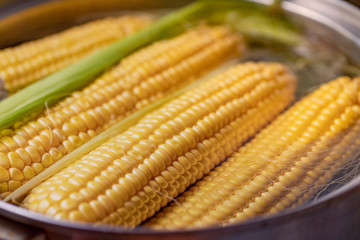 fresh and juicy corn is cooked in a pot at home