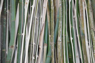close up of bamboo mat