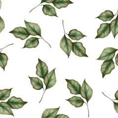 Seamless leaf pattern. Background with green branches on white