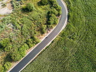 Aerial view. Asphalt road between green fields.