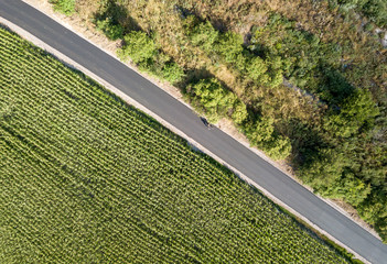 Aerial view. Asphalt road between green fields.