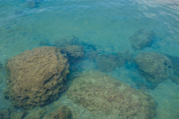 Underwater stones near coastline. There are calm water, small fishes, water weeds, some mussels & shells. Classic view for Mediterranean beach, untouched by human hand