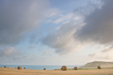 champs devant la Manche dans le nord de la france

