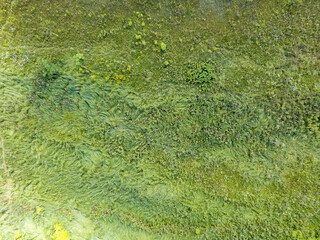 Ukrainian green meadow in summer. Aerial shot.
